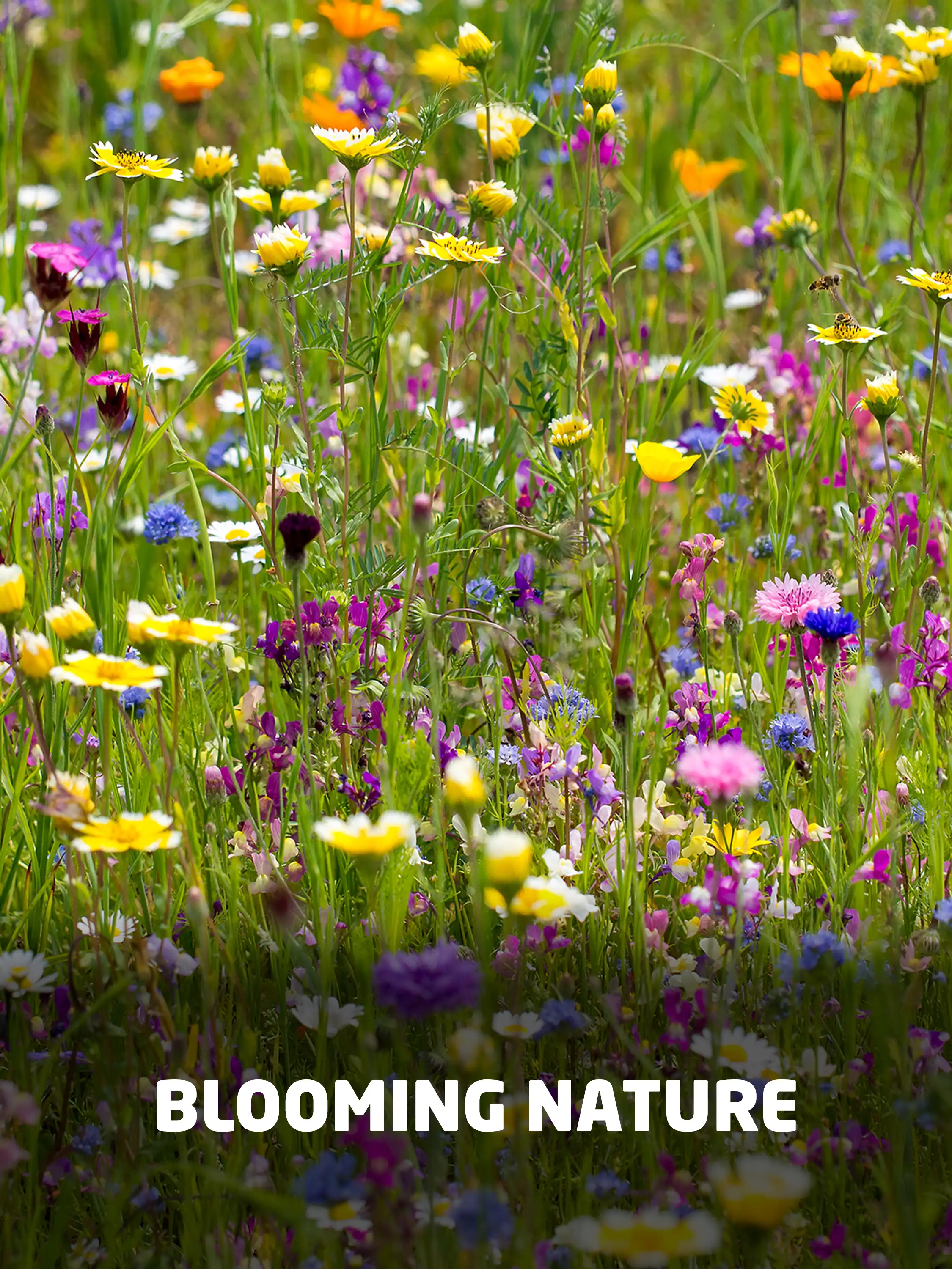 Blooming Nature